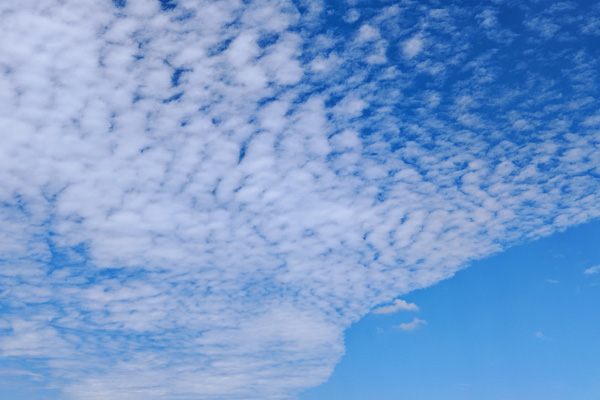 西安動(dòng)畫設(shè)計(jì)公司怎樣在展會(huì)上吸引顧客