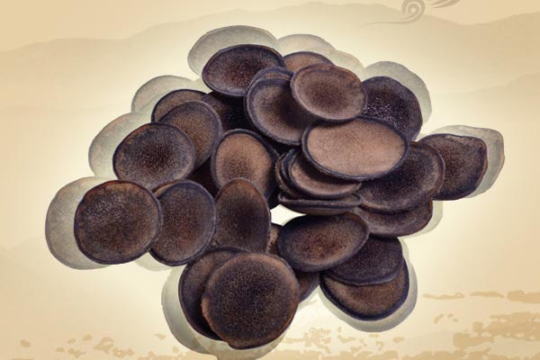 西安展覽策劃公司引領(lǐng)醫(yī)藥產(chǎn)業(yè)創(chuàng)新與合作